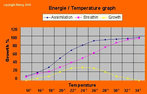 Growing temperature / energy