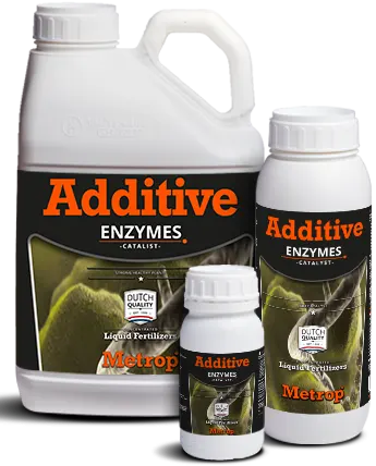 ENZYMES root protection