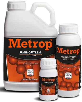 AminoXtrem plant flowering stimulator